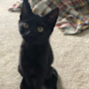 Meet your Posher, Teresa